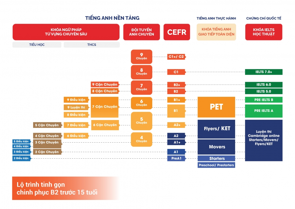 Chương trình giáo dục đào tạo tại Amslink